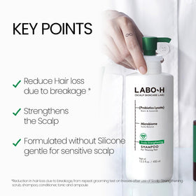 LABO-H rosemary and botanical ingredients highlighting natural actives