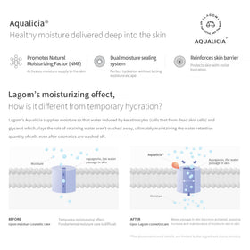 LAGOM with green tea and acacia botanicals illustrating natural extracts