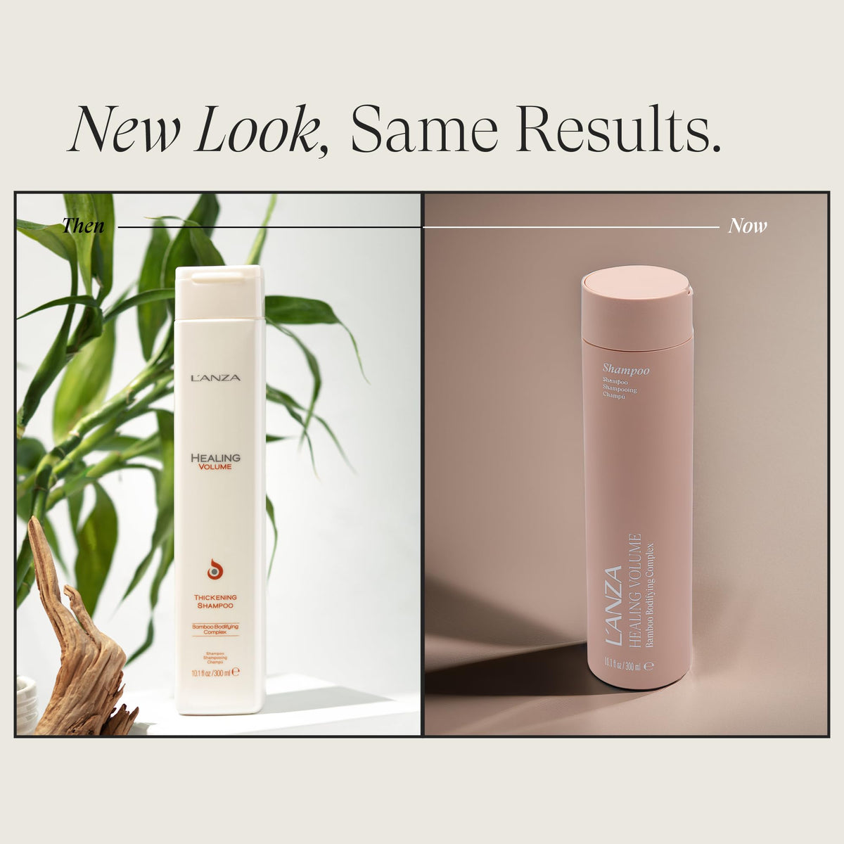 L’ANZA bamboo and keratin close-up highlighting strengthening action