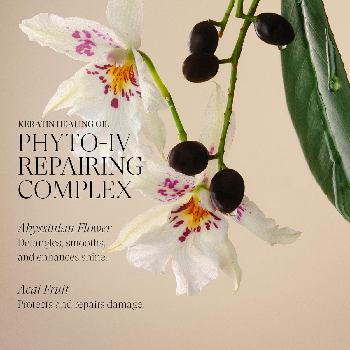 L’ANZA before and after hair showing improved shine benefit