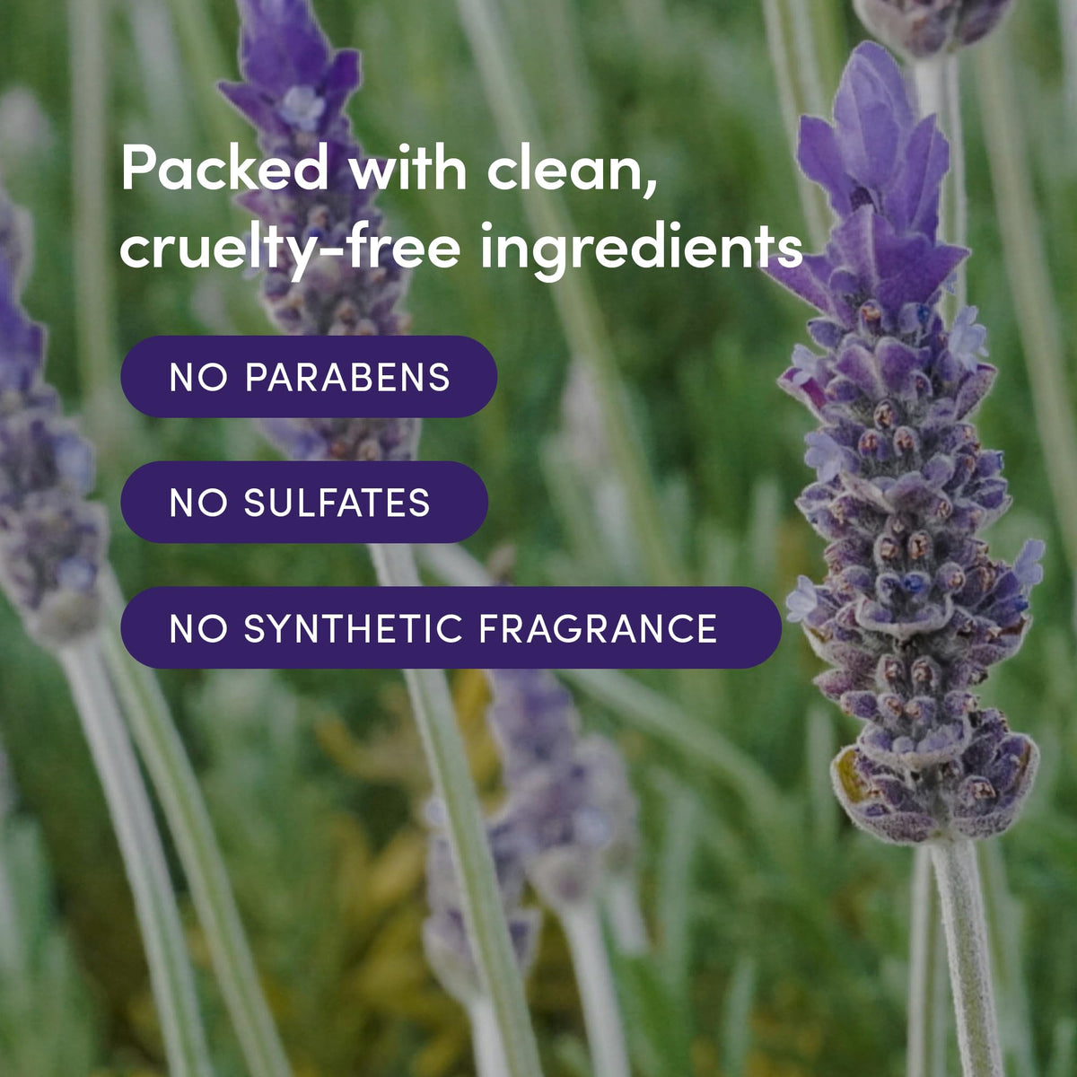 LATHER label detail showing ingredient callouts and natural fragrance for informed shoppers