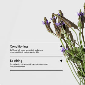 LATHER next to common items to show the 8 fl oz size and portable convenience