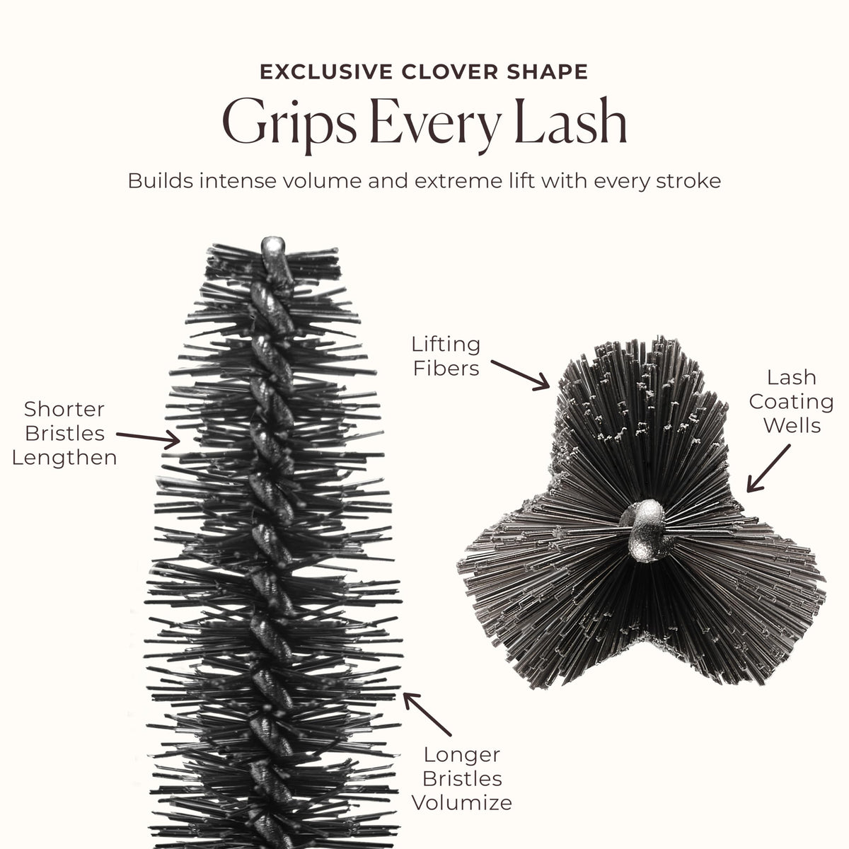 Laura Mercier before-and-after lashes showing lifted fuller effect