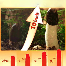 Lazy Tree size comparison next to phone showing compact, portable tube