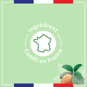 Le Petit Marseillais almond shower gel creamy lather close-up showing gentle foam for soft cleansing