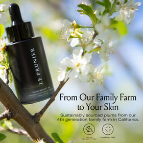 Le Prunier oil smoothing dry hair ends to add shine and reduce frizz