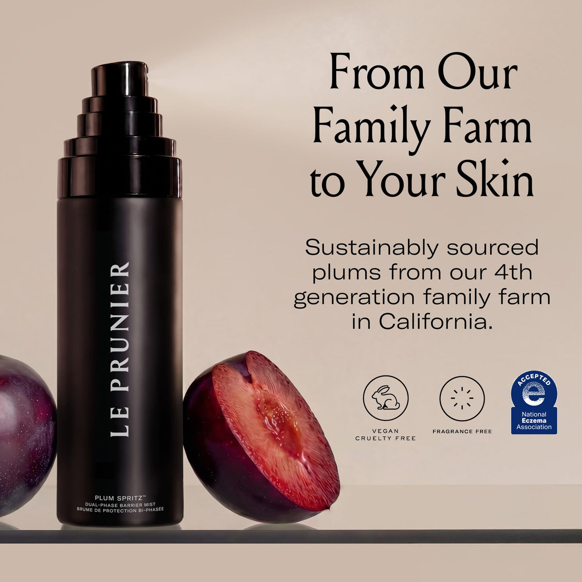 Le Prunier plum beauty oil ingredient visual conveying antioxidant nourishment