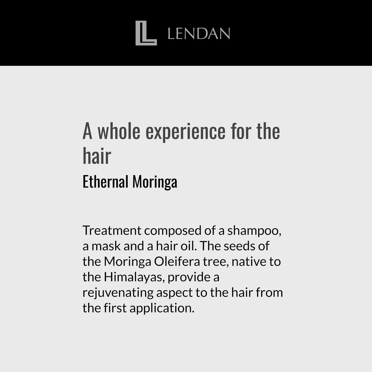 Lendan Ethernal Moringa applied to damp hair improving manageability