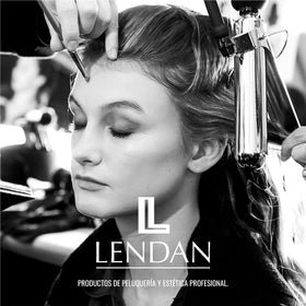 Lendan in lifestyle scene during blow-dry for shine and frizz control