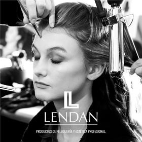 Lendan Plex Forte Nº2 stylist applying treatment in salon promoting professional results