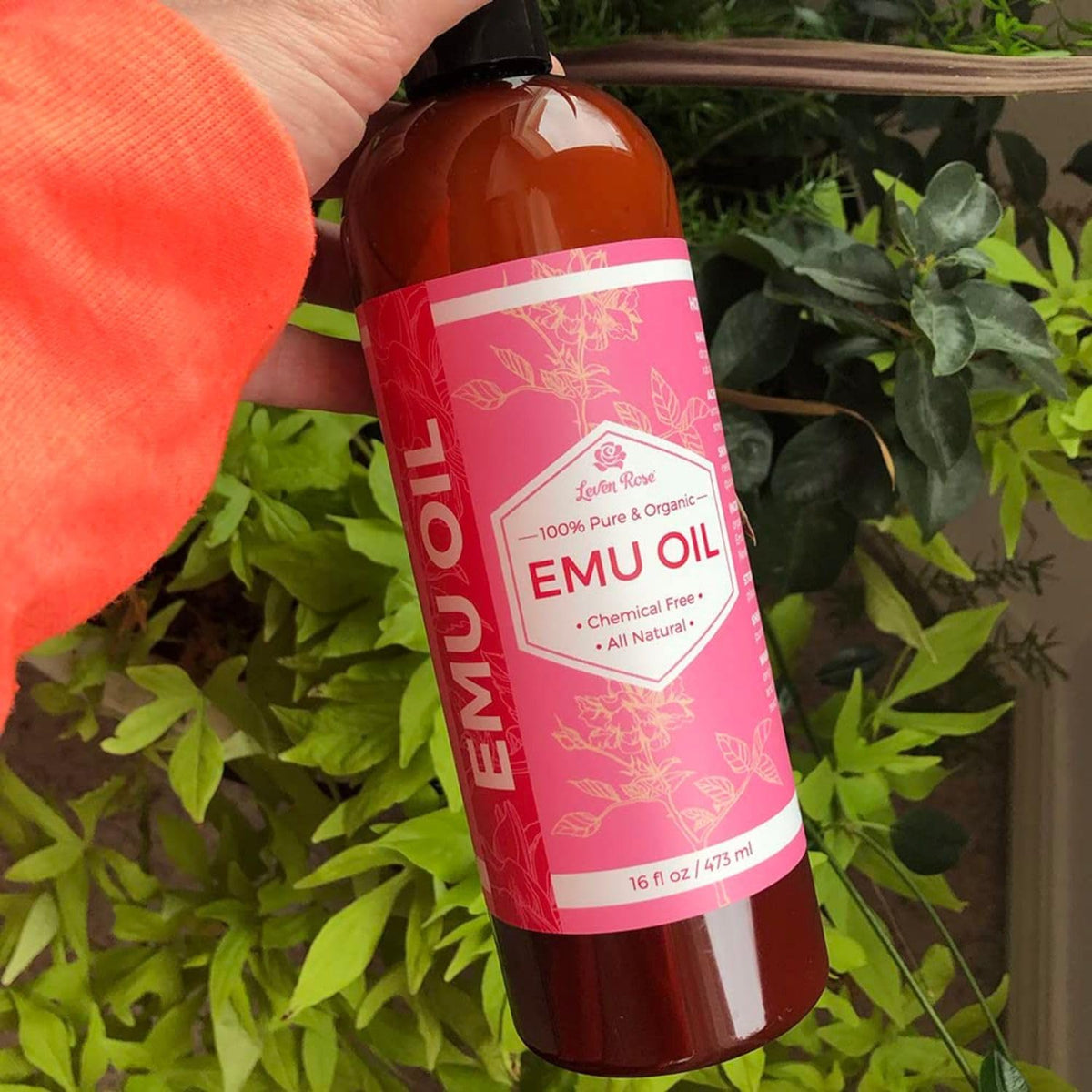 Leven Rose used as hair treatment to nourish and reduce dryness