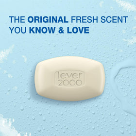 Lever 2000 bar creating lather in hand demonstrating effective cleansing foam