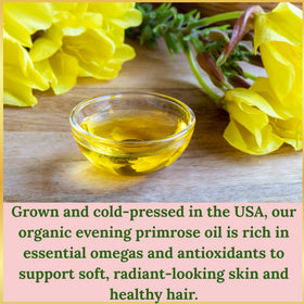 LILIVITE ORGANICS evening primrose oil applied to skin to show lightweight absorption