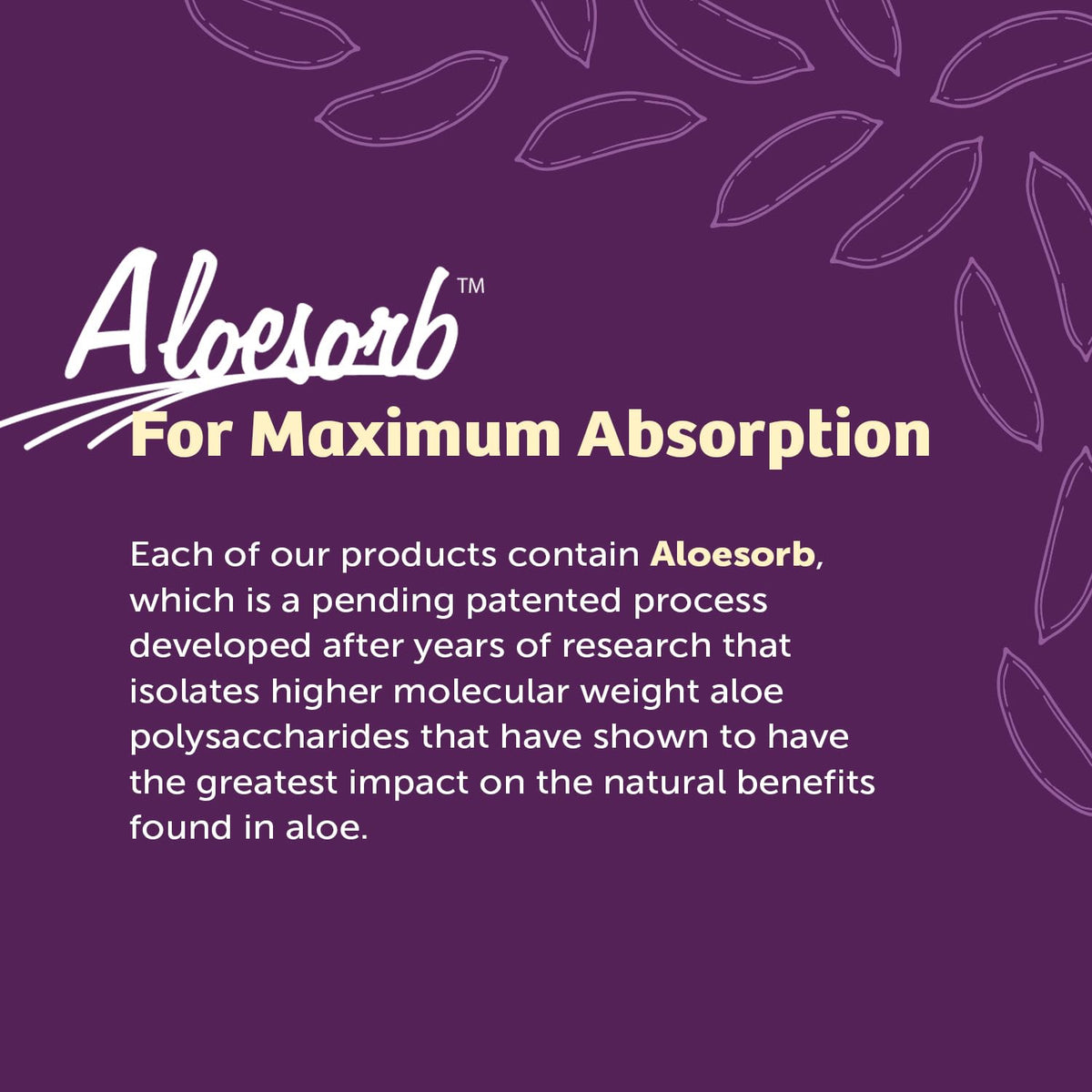 Lily Of The Desert ingredient label close-up highlighting organic aloe source