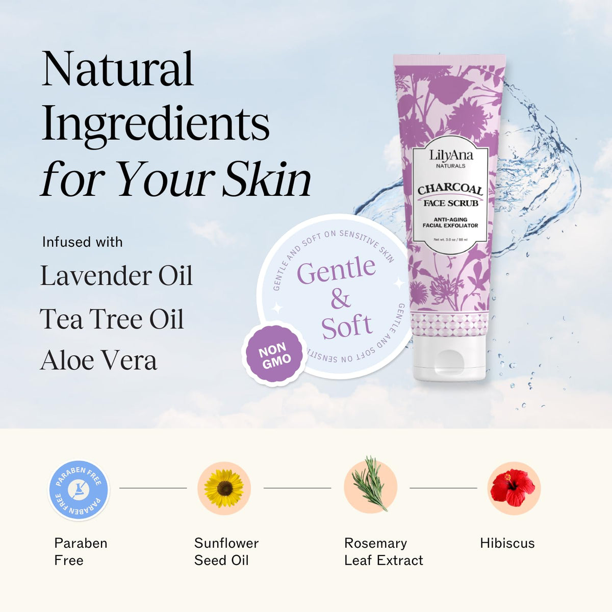 LilyAna Naturals close-up of charcoal granules highlighting impurity removal benefit