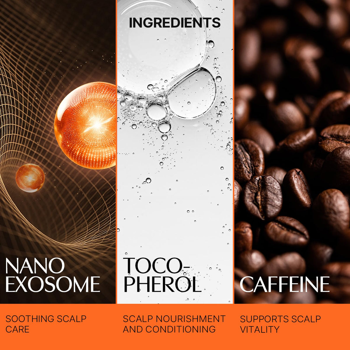 lilyeve heartleaf ingredient visual emphasizing exosome-derived scalp nourishment