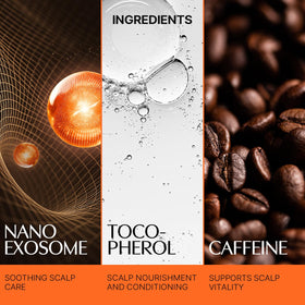 lilyeve heartleaf ingredient visual emphasizing exosome-derived scalp nourishment