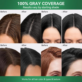 Limer being applied on dry hair for quick gray coverage