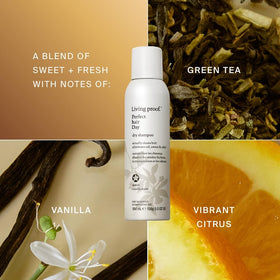 Living Proof in-use spraying roots to absorb oil and refresh style