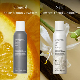 Living Proof on bathroom vanity with warm lighting emphasizing scent appeal