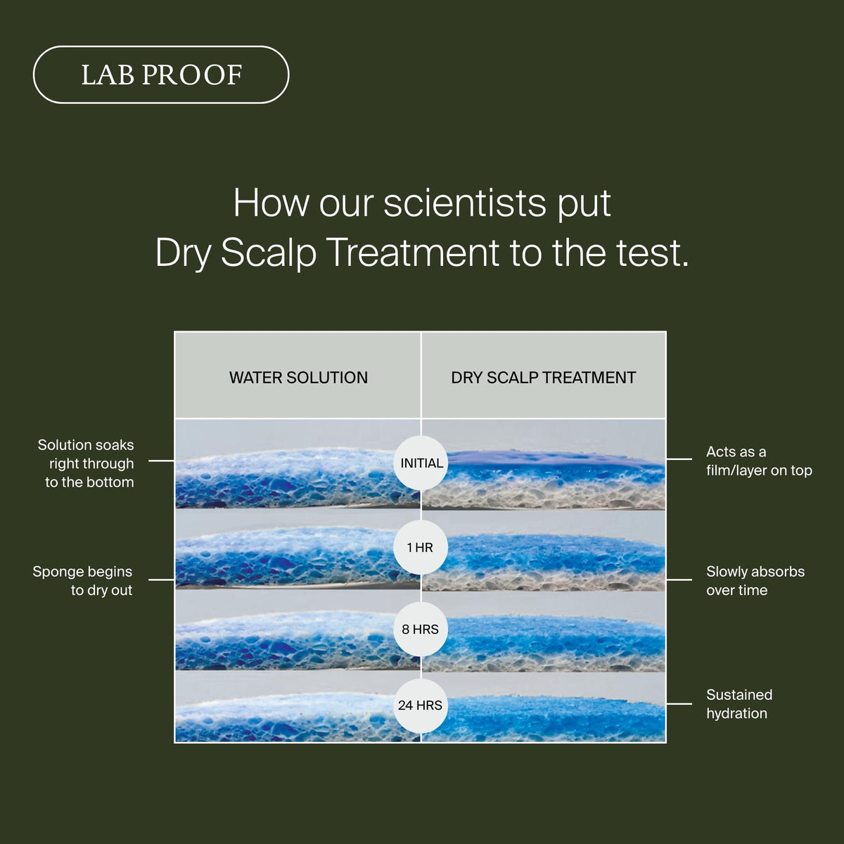 Living Proof label detail highlighting key ingredients and clarity
