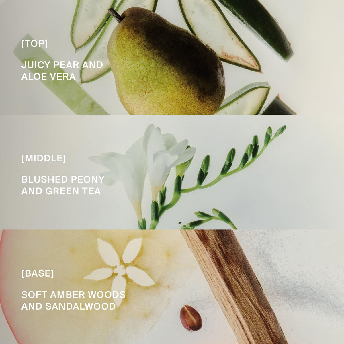 Living Proof product texture photograph emphasizing lightweight formula and no residue