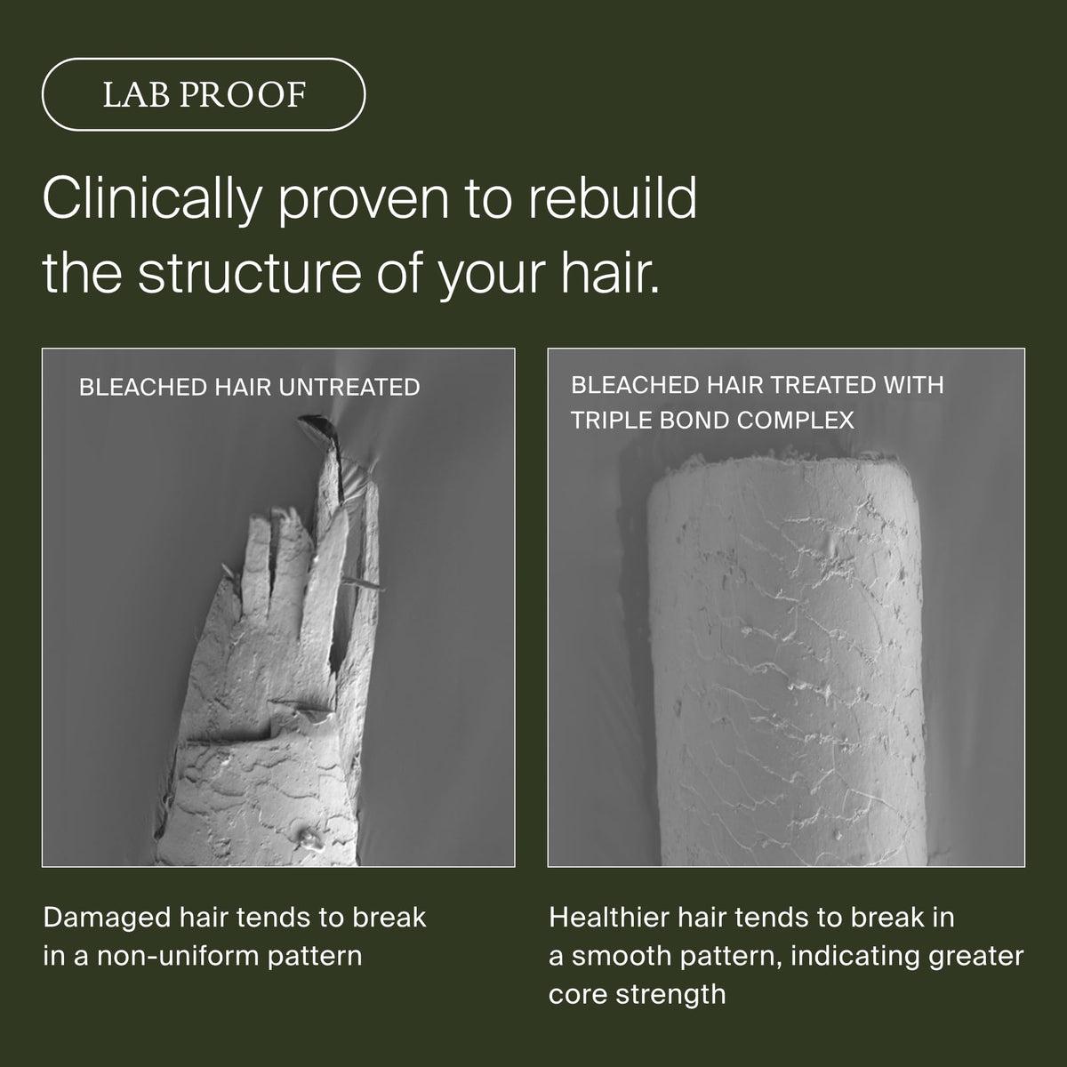 Living Proof visual graphic illustrating bond rebuilding for strengthened hair fibers