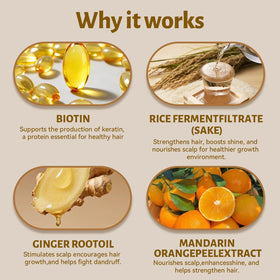 L LUSETA scalp detail with ginger root oil suggesting soothing benefit