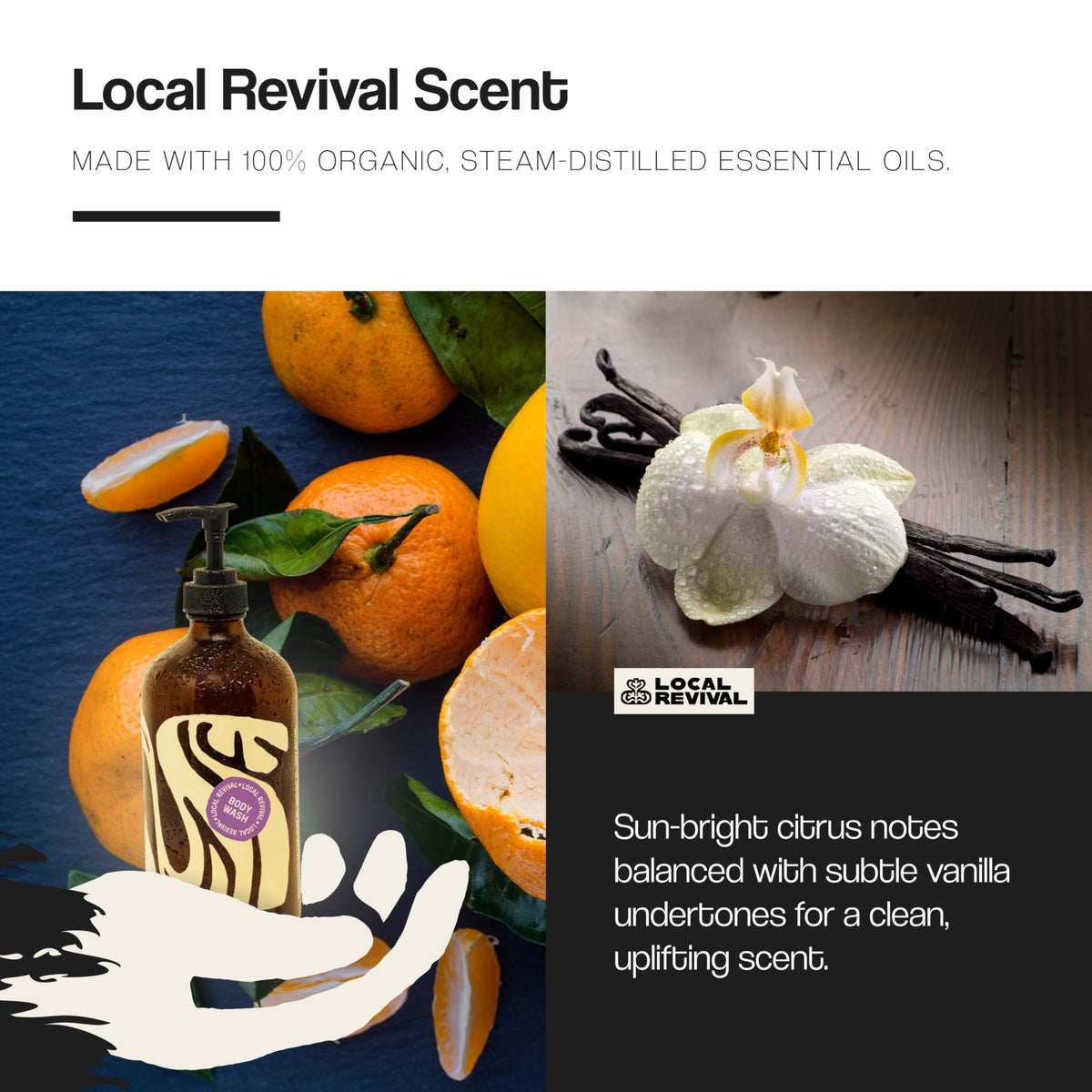 Local Revival creamy lather close-up illustrating gentle moisturizing benefit