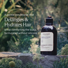 Close-up of conditioner texture on palm showing creamy lightweight formula and easy detangling benefit