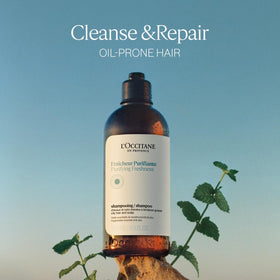 L'Occitane peppermint close-up highlighting natural ingredient and purifying benefit