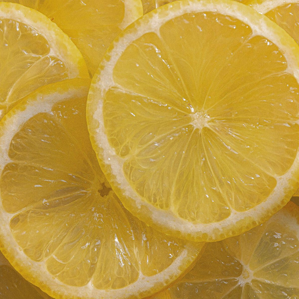 L'Occitane foamy shampoo texture close-up showcasing gentle lather and cleansing