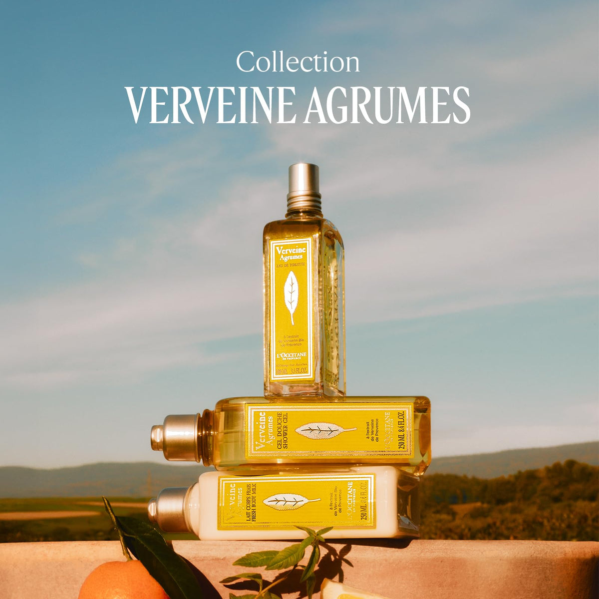L'OCCITANE bottle on bathroom vanity for scale showing compact 8.4 fl oz size and travel-friendly benefit