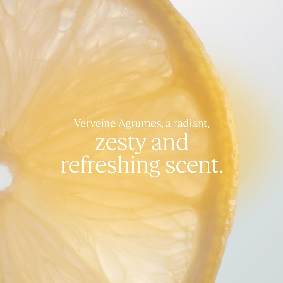 L'OCCITANE close-up of creamy body milk texture highlighting smooth glide and quick absorption benefit
