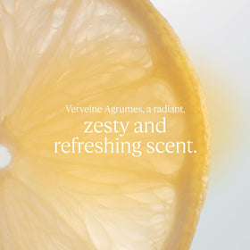L'OCCITANE close-up of creamy body milk texture highlighting smooth glide and quick absorption benefit