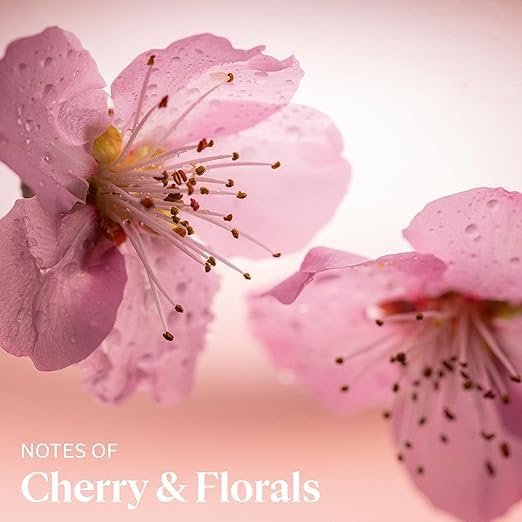 L'OCCITANE cherry blossom tube showing compact size and light, fresh scent benefit