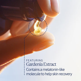 L'Occitane Immortelle texture on hand showing lightweight oil-in-serum absorption benefit