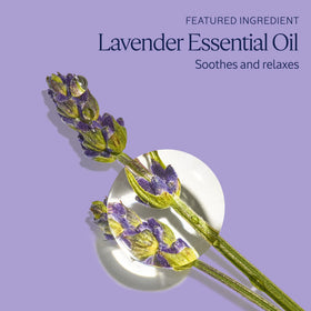 L'Occitane product in bathtub setting creating a relaxing lavender-scented atmosphere