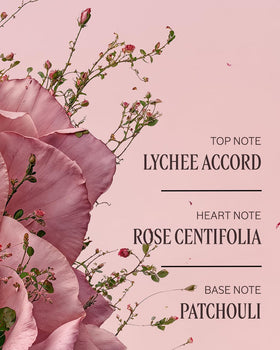 L'OCCITANE Rose Hand Cream applied on hands, demonstrates smooth absorbency benefit