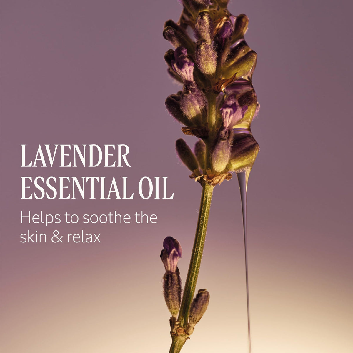 L'OCCITANE label and ingredients detail highlighting palm-oil free benefit