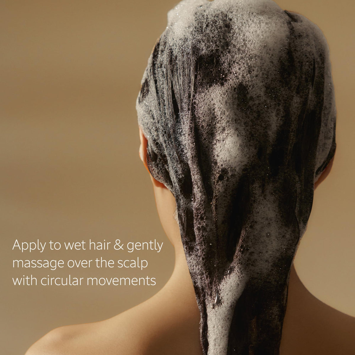 L'OCCITANE shampoo in shower on wet hair showing visible body gain