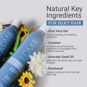 Loma duo placed on bathroom shelf, presents convenient everyday hair care pairing