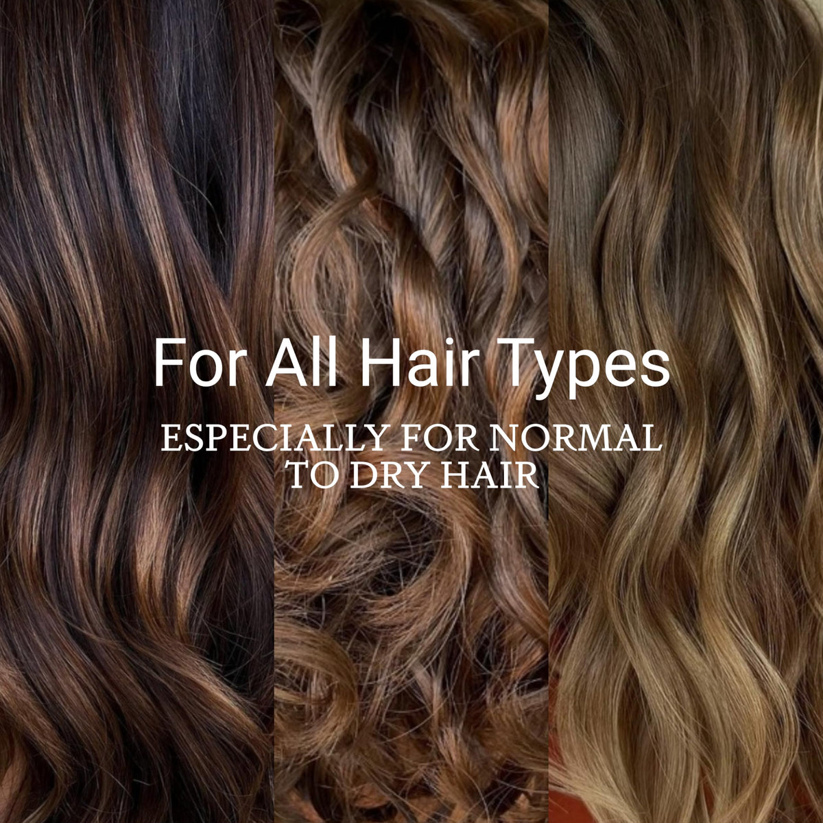 Loma oil mid-lengths and ends before and after using product showing improved shine