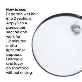 L'Oréal Professionnel applied to mid-lengths showing protection and reduced porosity