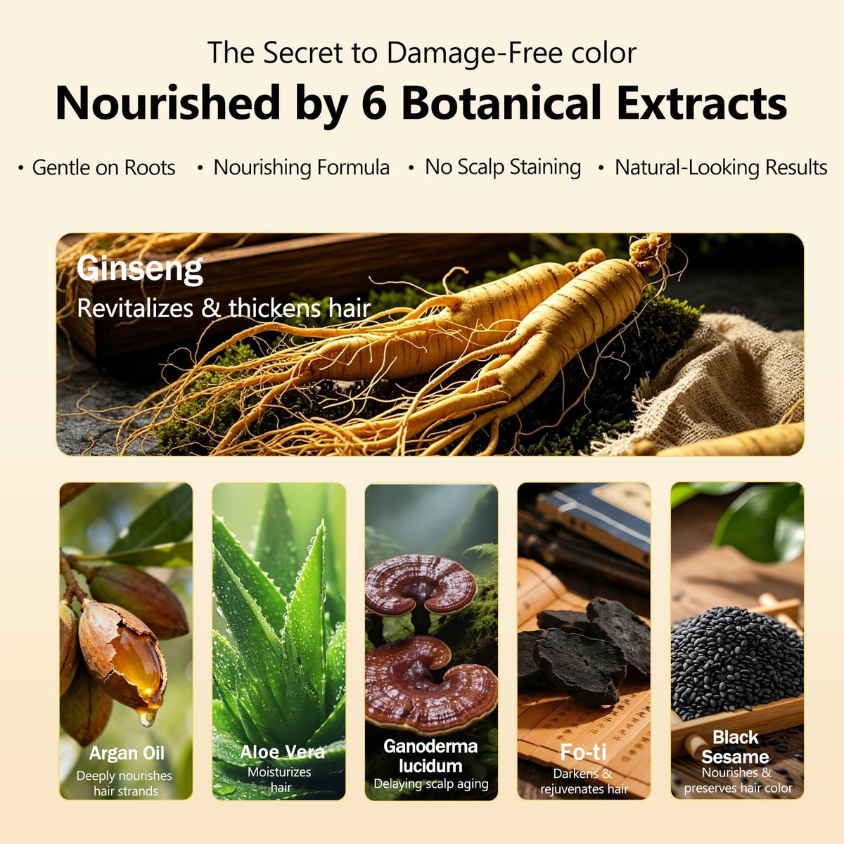 lorpon argan oil and ginseng ingredients highlighting nourishment