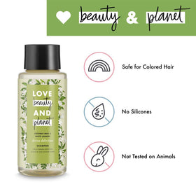 Love Beauty And Planet bottle size next to a travel item for scale and convenience