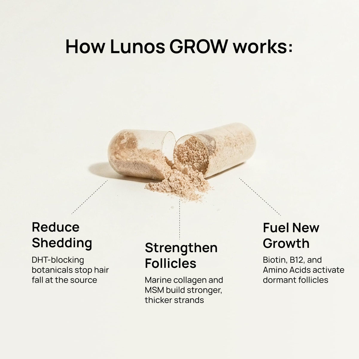 Lunos marine collagen powder texture visualizing protein support