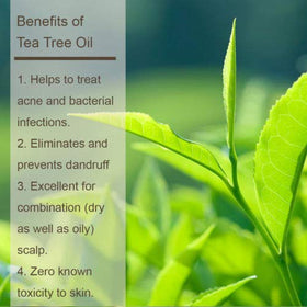 Luseta bottles staged with tea tree and peppermint illustrating natural ingredients benefit