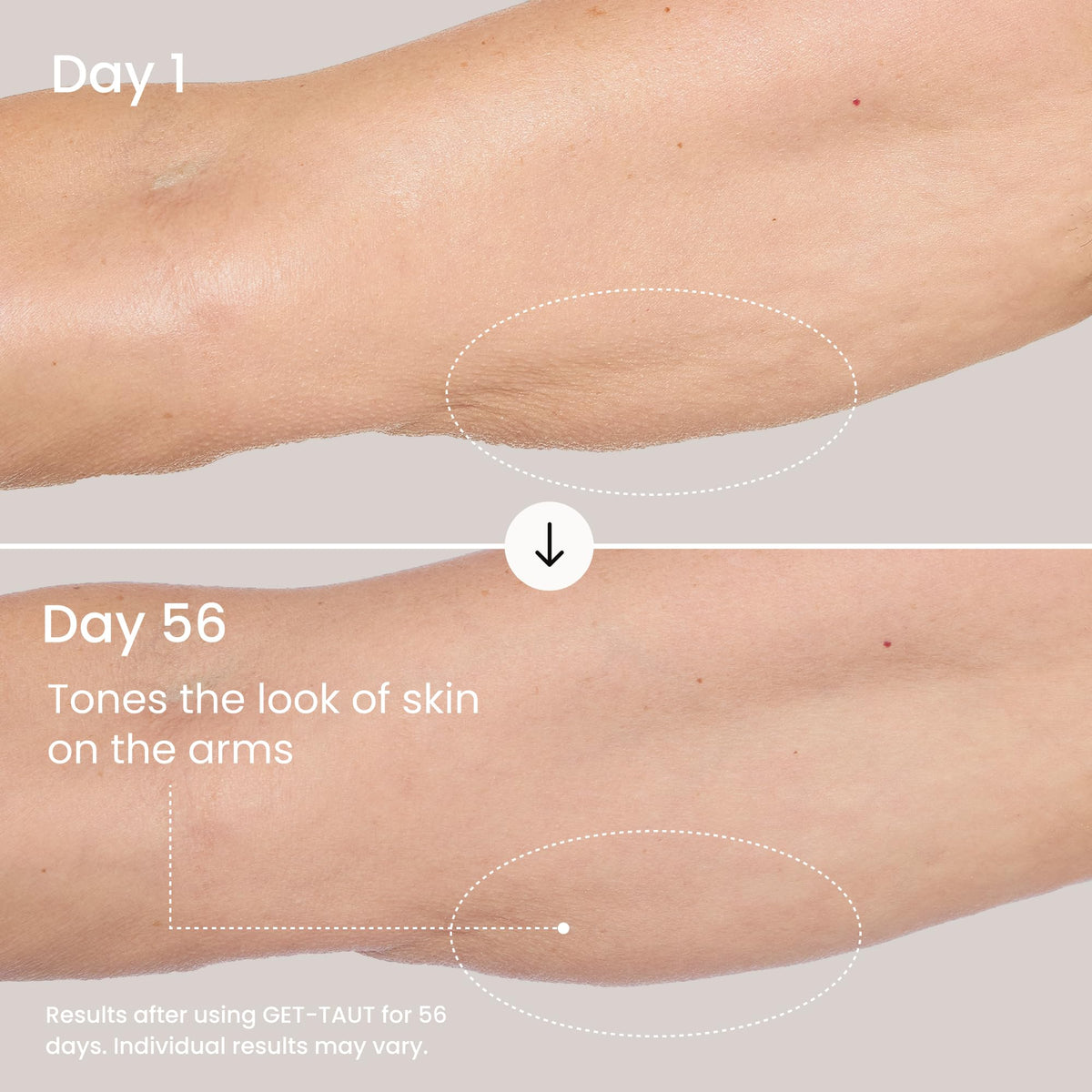 MAËLYS Sacha Inchi seed visual with oil droplets, conveys nourishing lipids