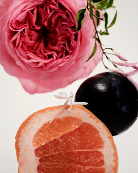 Maison Louis Marie Icila roll-on open ball applicator detail demonstrating smooth application